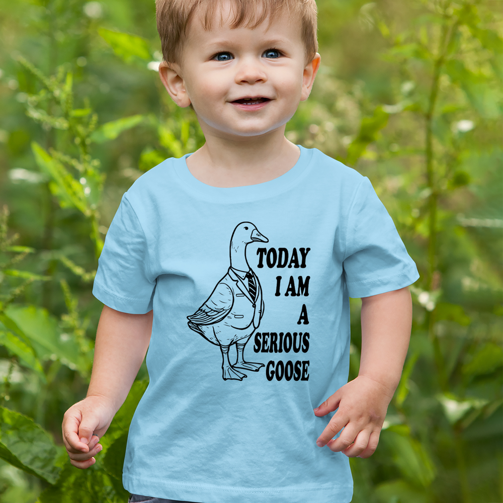Today I Am A Serious Goose Mens T-shirt 