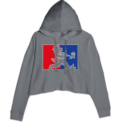 Batter Up Philly Baseball Phan Cropped Hoodie Sweatshirt Charcoal Grey