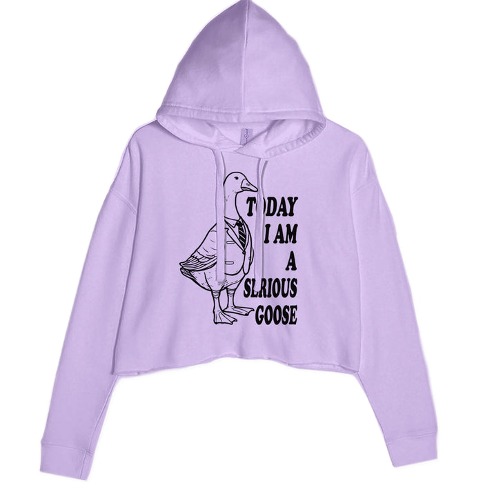 Today I Am A Serious Goose Cropped Hoodie Sweatshirt