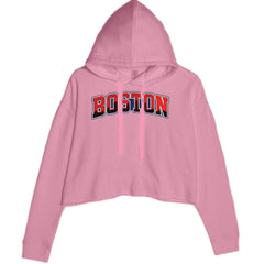 Boston City Pride Skyline graphic on Women's Cropped Fleece Hoodie in Mauve