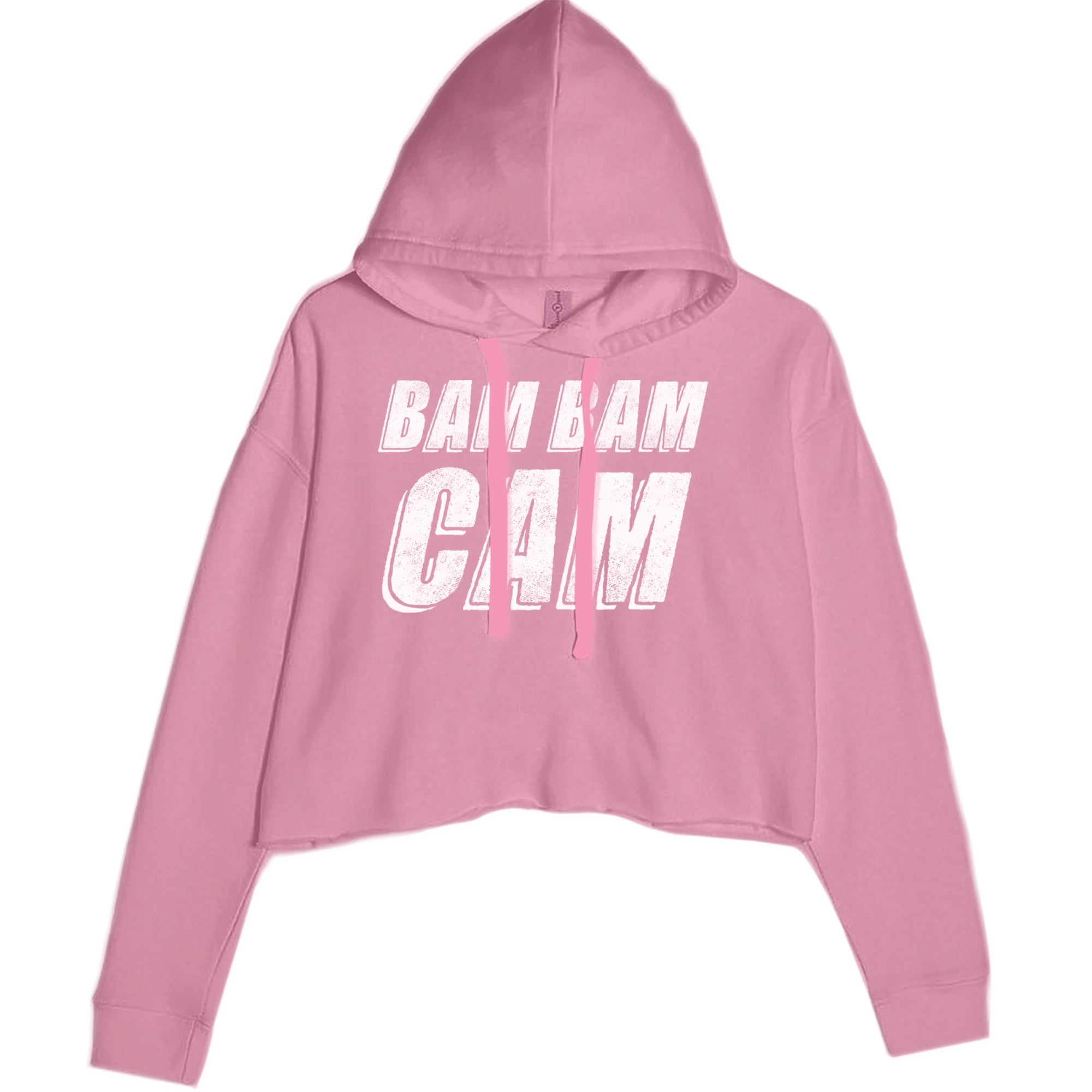 Bam Bam Cam Cropped Hoodie Sweatshirt Mauve