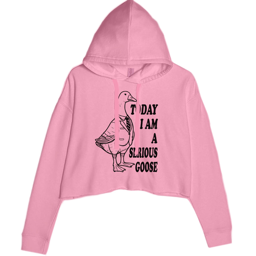 Today I Am A Serious Goose Cropped Hoodie Sweatshirt Mauve