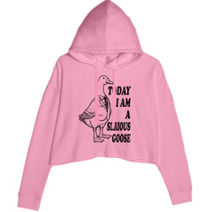 Today I Am A Serious Goose Cropped Hoodie Sweatshirt Mauve