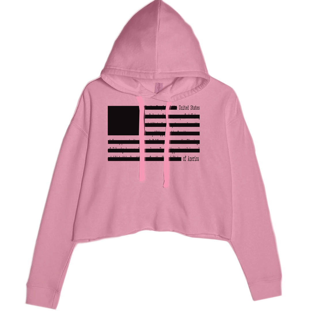 Redacted American Flag Cropped Hoodie Sweatshirt Mauve