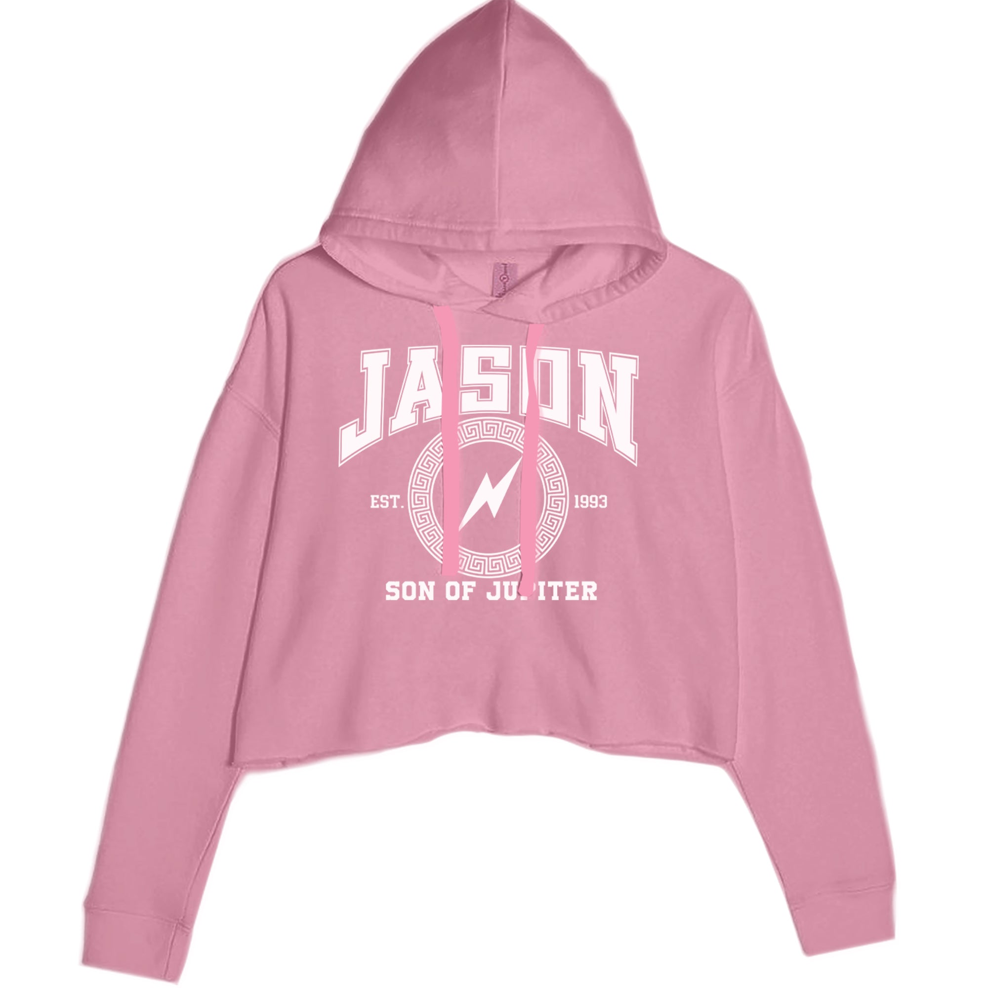 Jason Son of Jupiter Storm Bringer Cropped Hoodie Sweatshirt Mauve