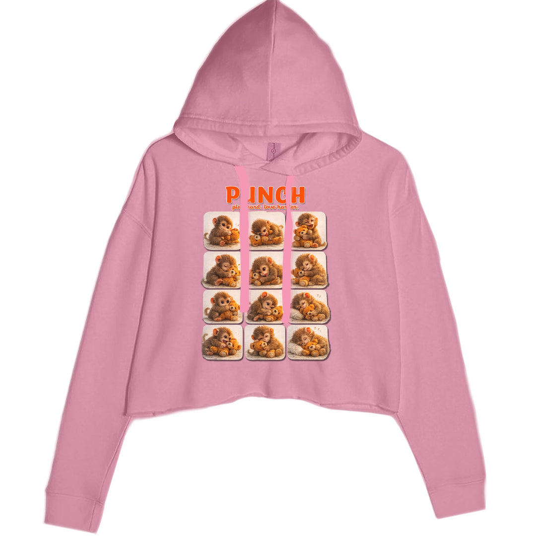 Punch Play Hard Love Harder Cropped Hoodie Sweatshirt Mauve
