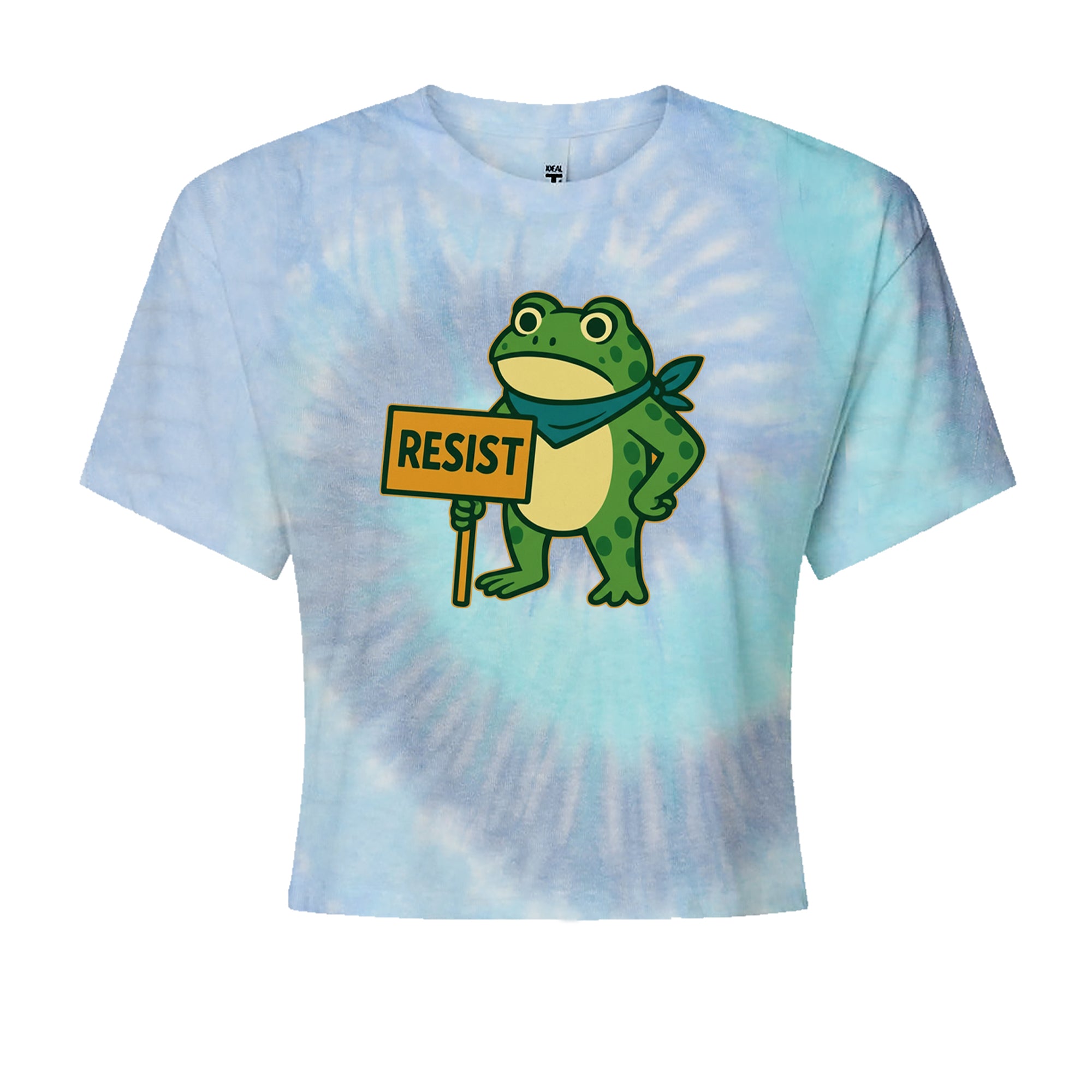 Sign Resist Meme Frog Protest Cropped T-Shirt Blue Clouds
