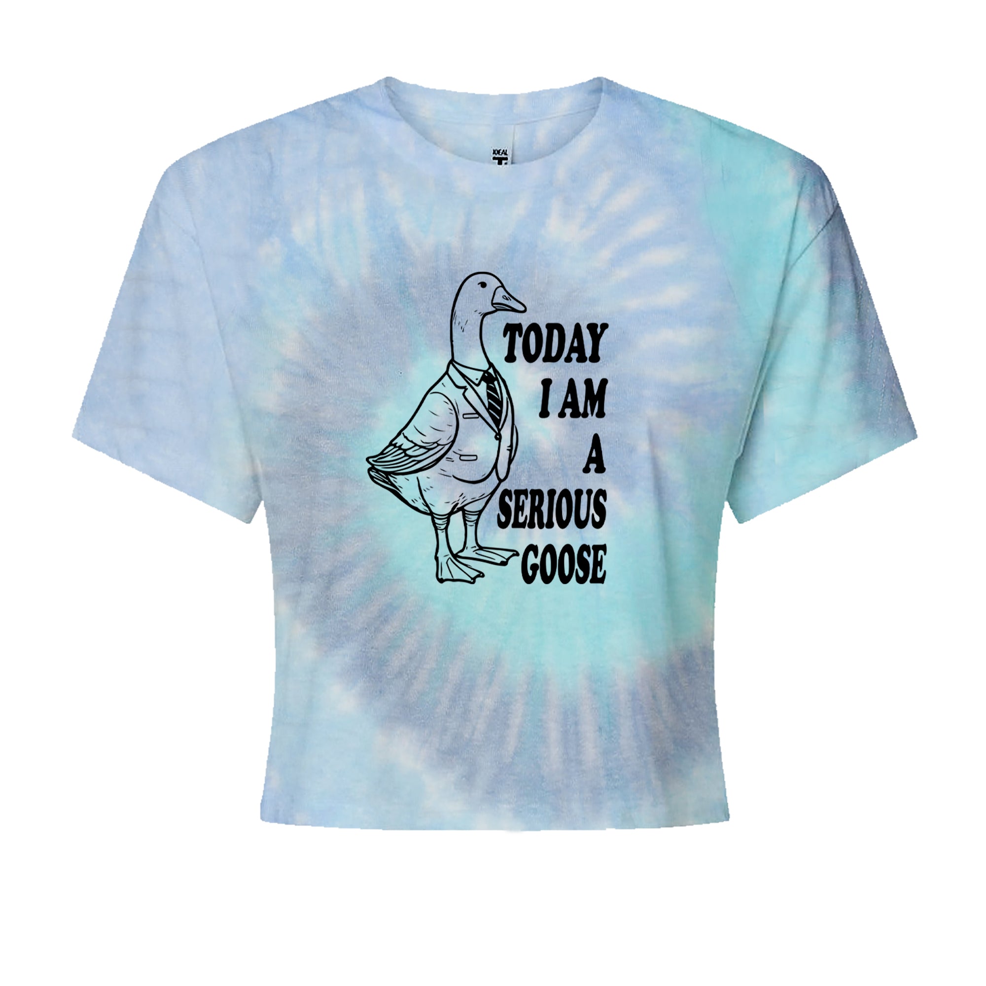 Today I Am A Serious Goose Cropped T-Shirt Blue Clouds