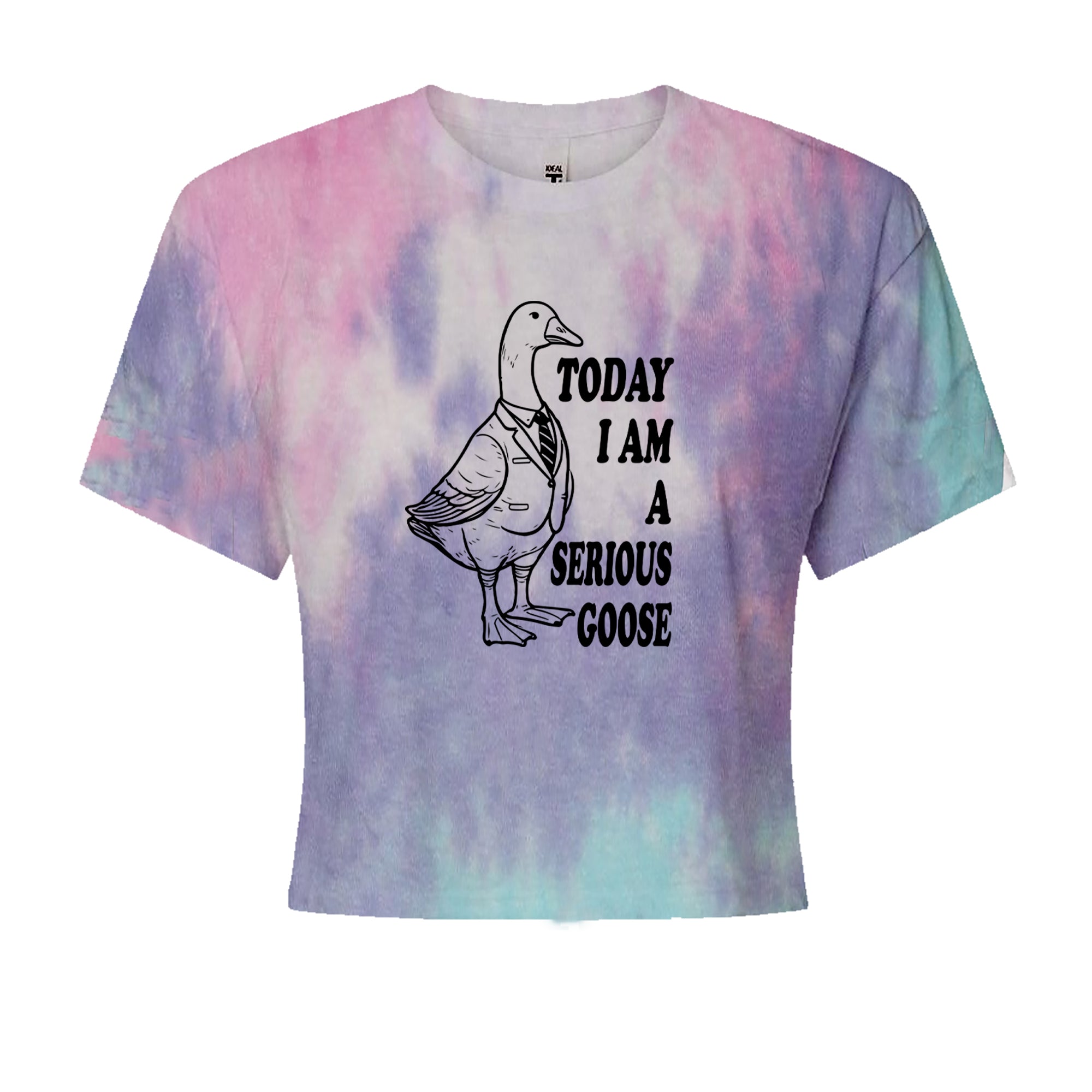 Today I Am A Serious Goose Cropped T-Shirt Cotton Candy