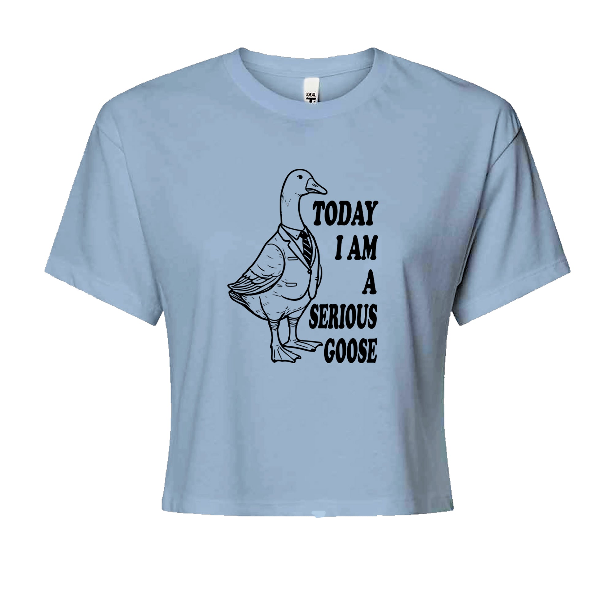 Today I Am A Serious Goose Cropped T-Shirt Light Blue