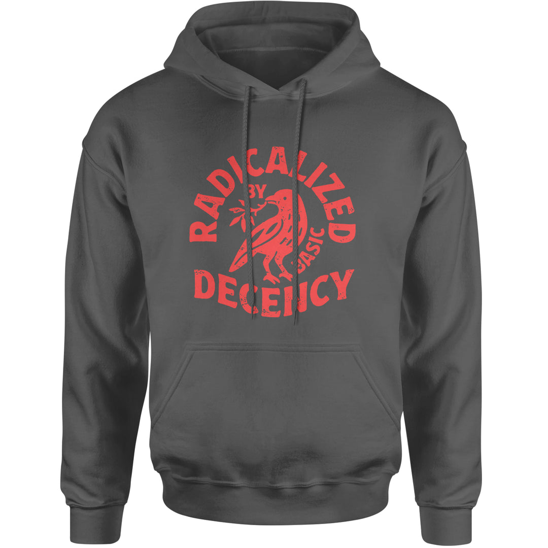 Radicalized by Basic Decency Dove Protest Statement Adult Hoodie Sweatshirt Charcoal Grey