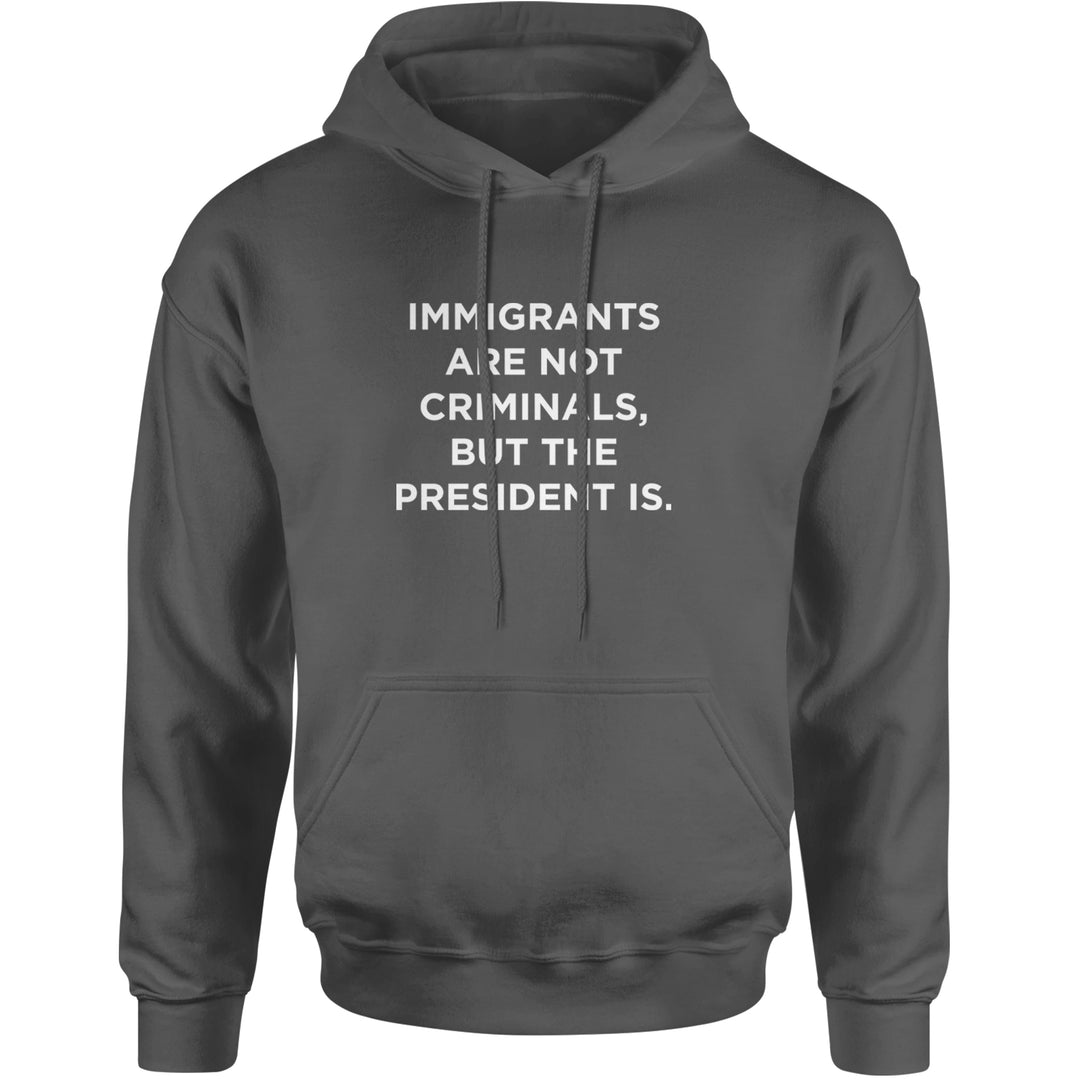 Immigrants Are Not Criminals Adult Hoodie Sweatshirt Charcoal Grey
