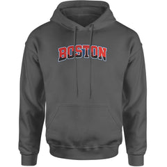 Boston City Pride Skyline Adult Hoodie Sweatshirt Charcoal Grey