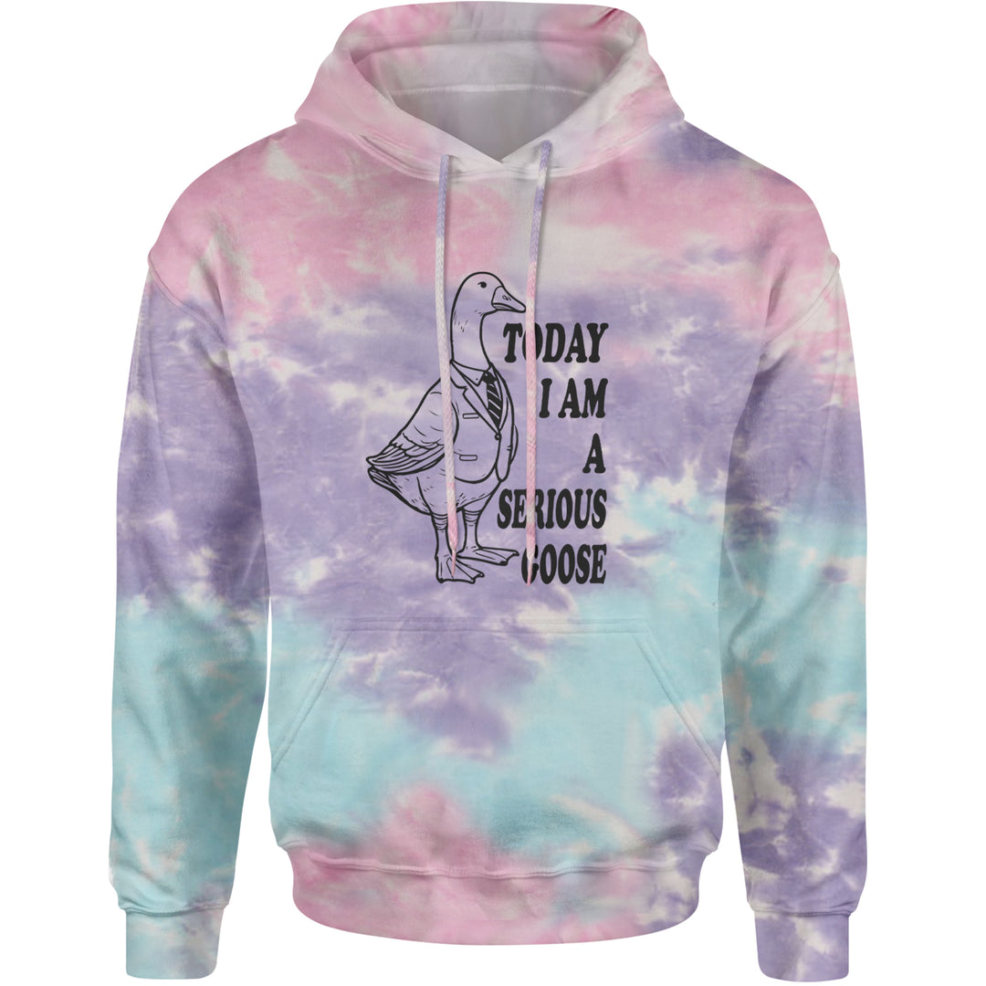Today I Am A Serious Goose Adult Hoodie Sweatshirt Cotton Candy
