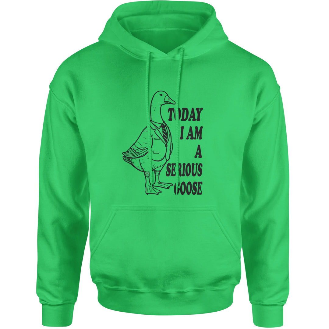 Today I Am A Serious Goose Adult Hoodie Sweatshirt Kelly Green
