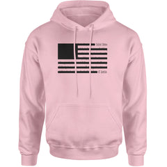 Redacted American Flag Adult Hoodie Sweatshirt Light Pink