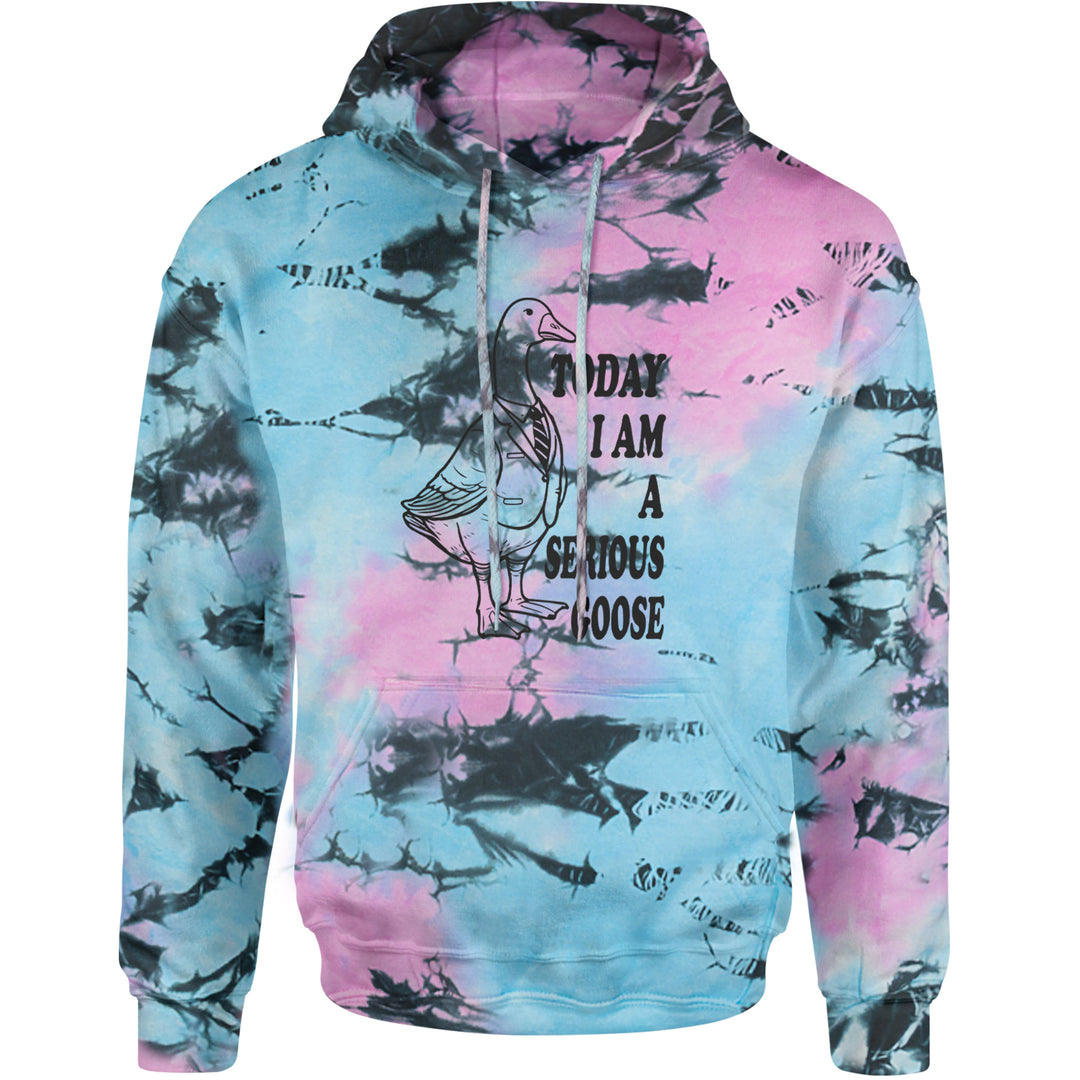 Today I Am A Serious Goose Adult Hoodie Sweatshirt Pacific