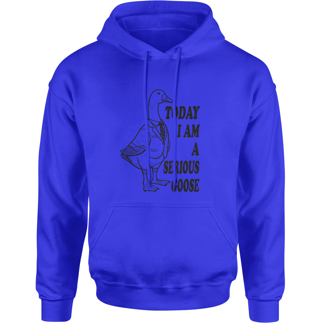 Today I Am A Serious Goose Adult Hoodie Sweatshirt Royal Blue