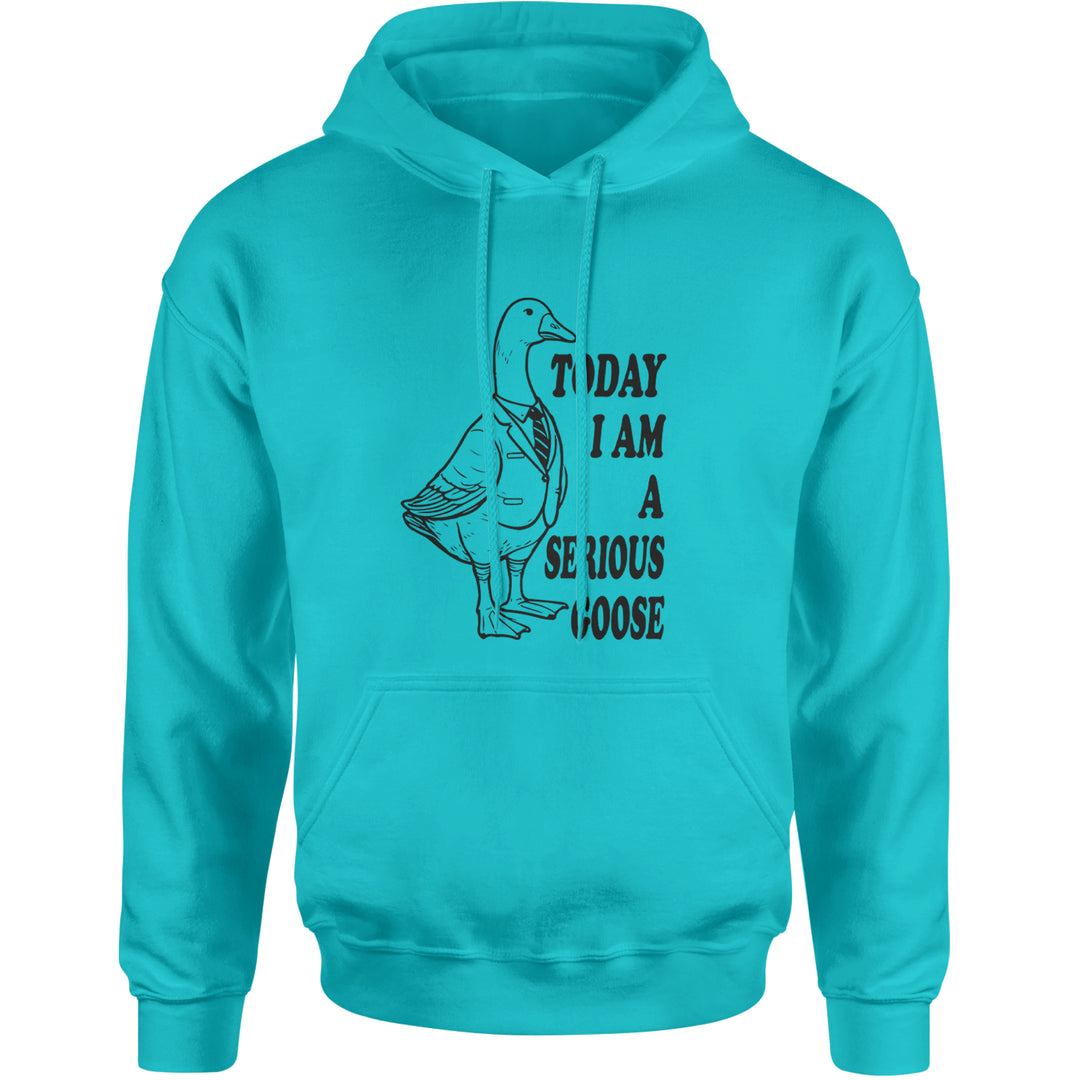 Today I Am A Serious Goose Adult Hoodie Sweatshirt Teal