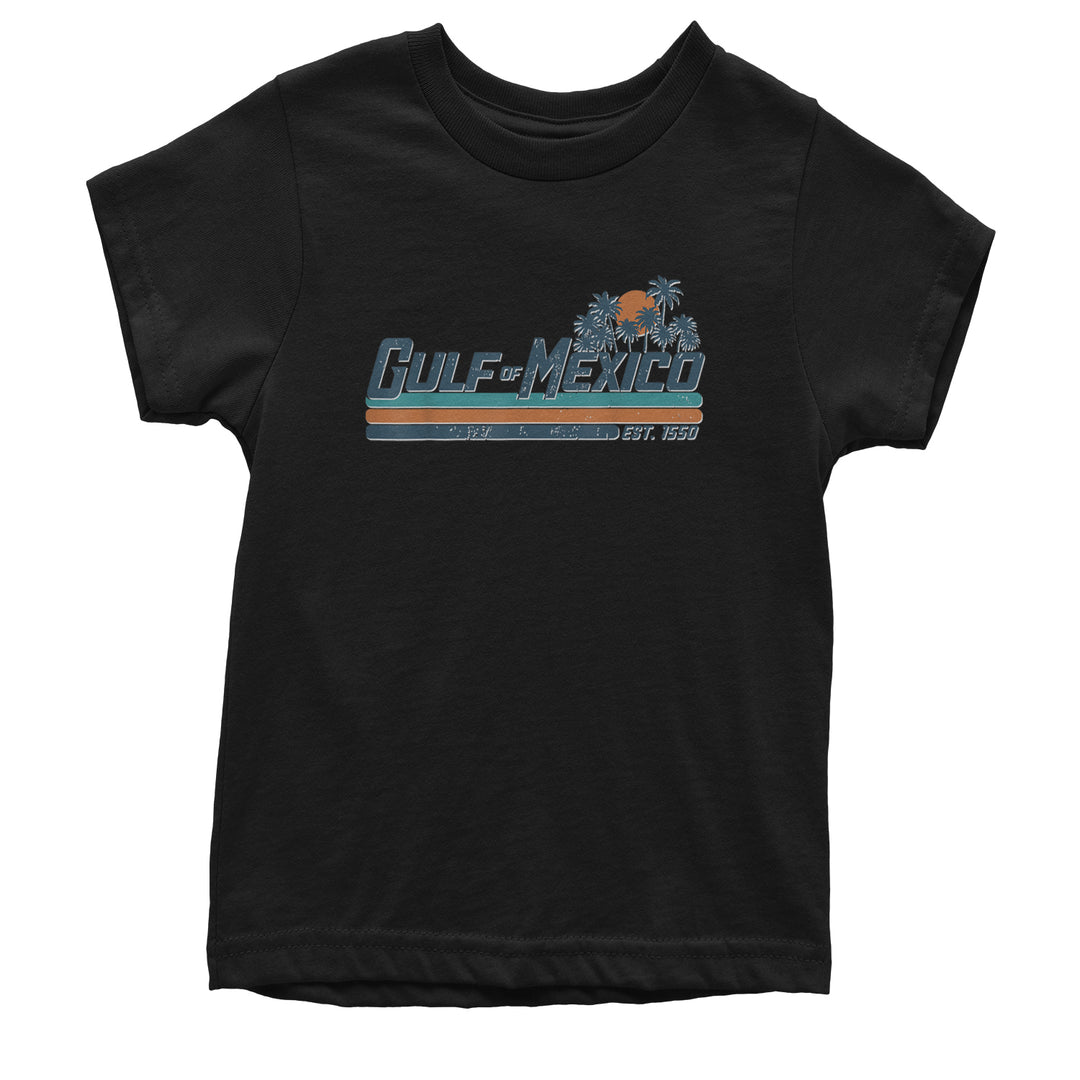 Gulf Of Mexico Established Year 1550 Youth T-shirt Black