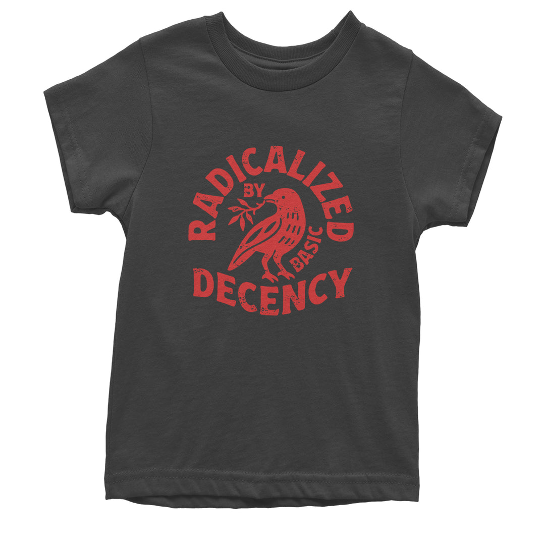 Radicalized by Basic Decency Dove Protest Statement Youth T-shirt Charcoal Grey
