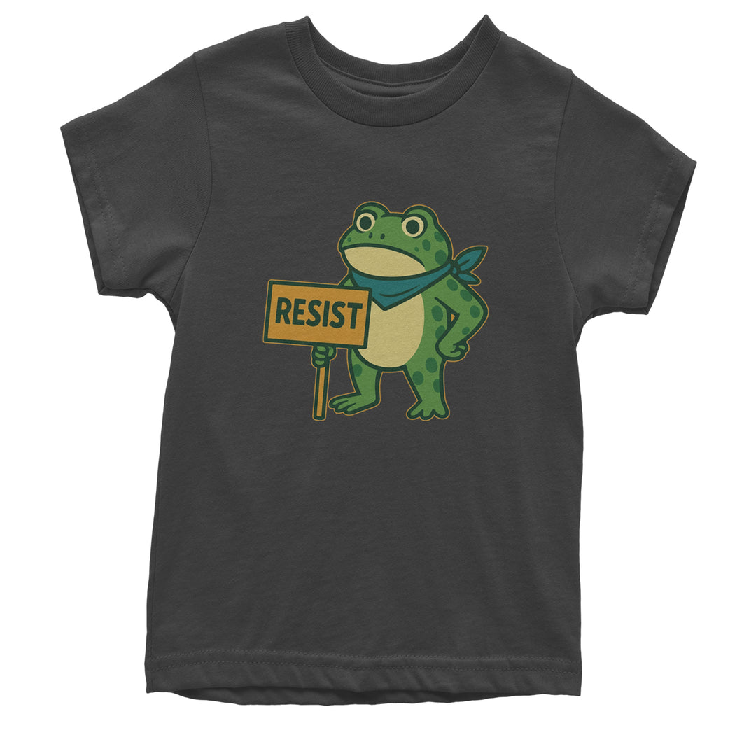 Sign Resist Meme Frog Protest Youth T-shirt Charcoal Grey