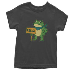 Sign Resist Meme Frog Protest Youth T-shirt Charcoal Grey