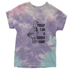 Today I Am A Serious Goose Youth T-shirt Tie-Dye Cotton Candy