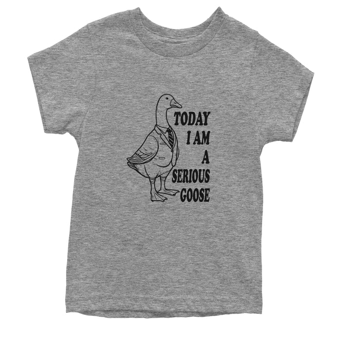 Today I Am A Serious Goose Youth T-shirt
