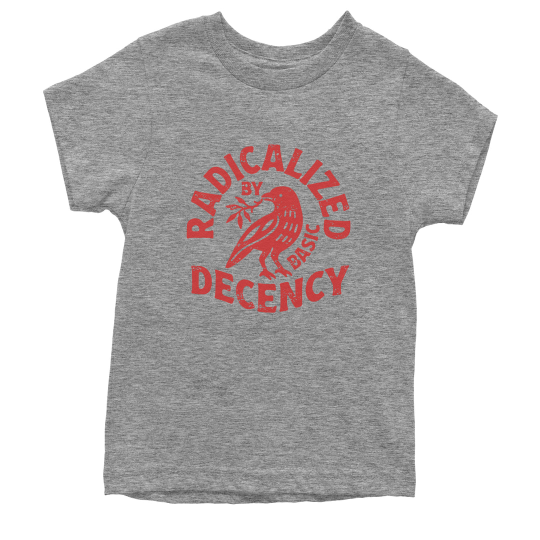 Radicalized by Basic Decency Dove Protest Statement Youth T-shirt Heather Grey