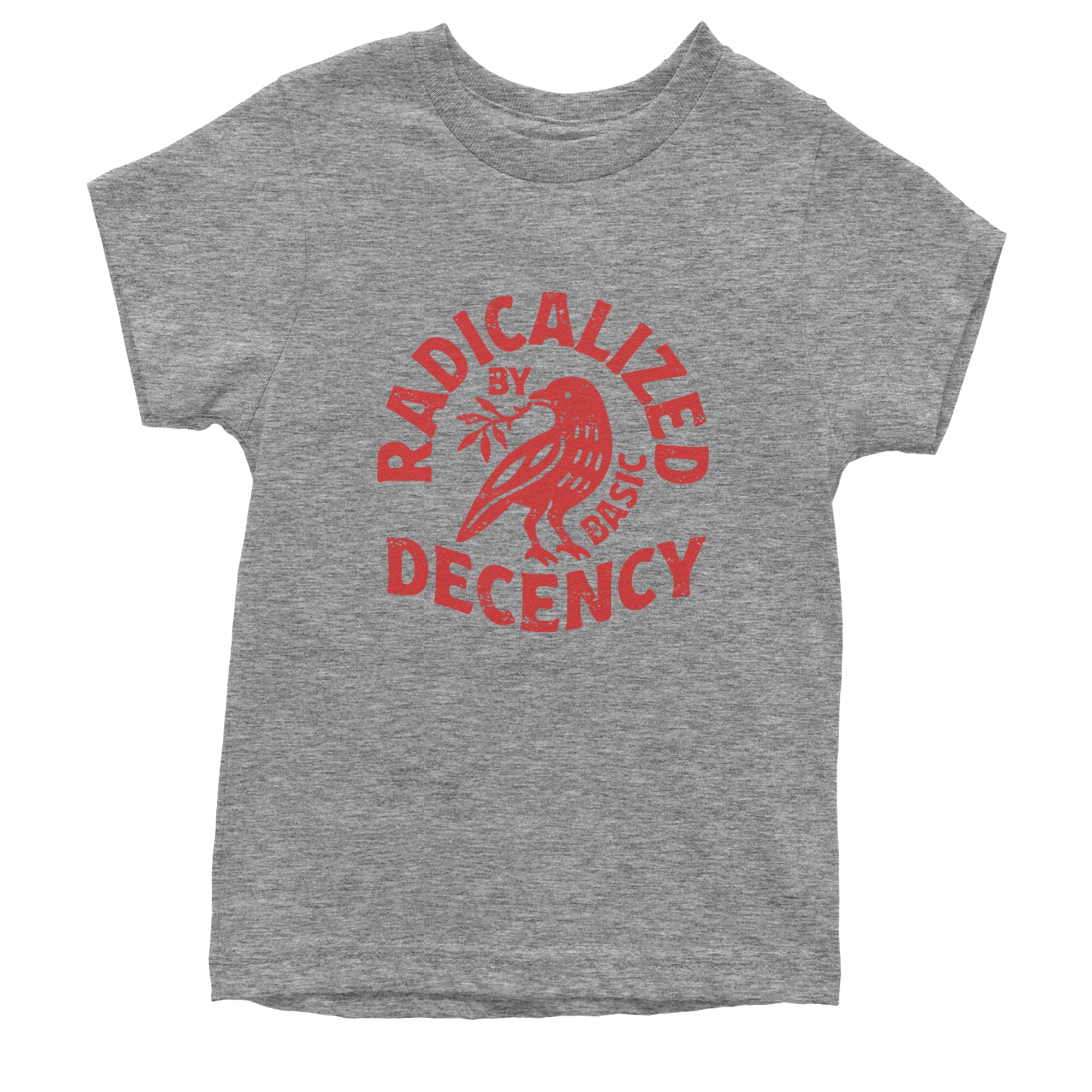 Radicalized by Basic Decency Dove Protest Statement Youth T-shirt Heather Grey