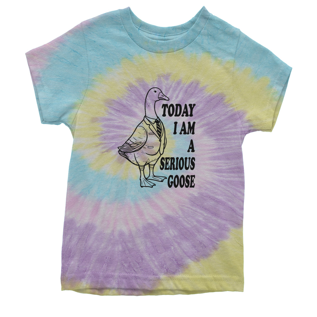Today I Am A Serious Goose Youth T-shirt Tie-Dye Jellybean
