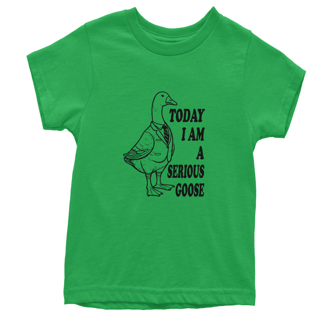 Today I Am A Serious Goose Youth T-shirt Kelly Green