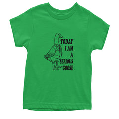 Today I Am A Serious Goose Youth T-shirt Kelly Green