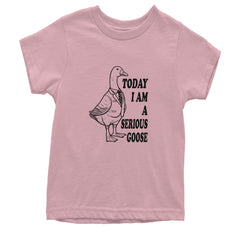 Today I Am A Serious Goose Youth T-shirt Light Pink