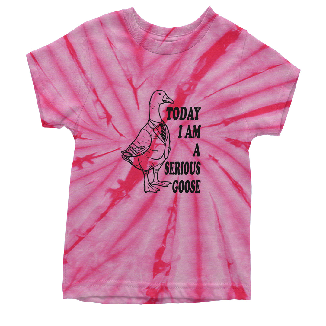 Today I Am A Serious Goose Youth T-shirt Tie-Dye Spider Pink