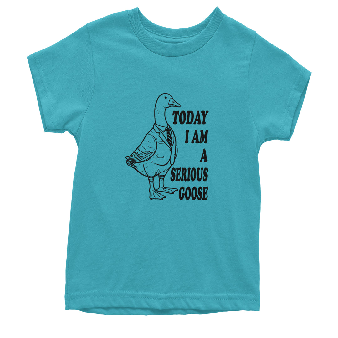 Today I Am A Serious Goose Youth T-shirt Teal