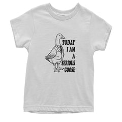 Today I Am A Serious Goose Youth T-shirt White