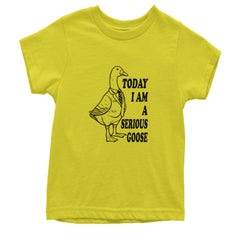 Today I Am A Serious Goose Youth T-shirt Yellow