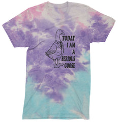 Today I Am A Serious Goose Mens T-shirt Tie-Dye Cotton Candy