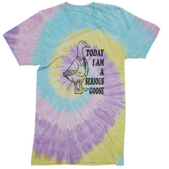 Today I Am A Serious Goose Mens T-shirt Tie-Dye Jellybean