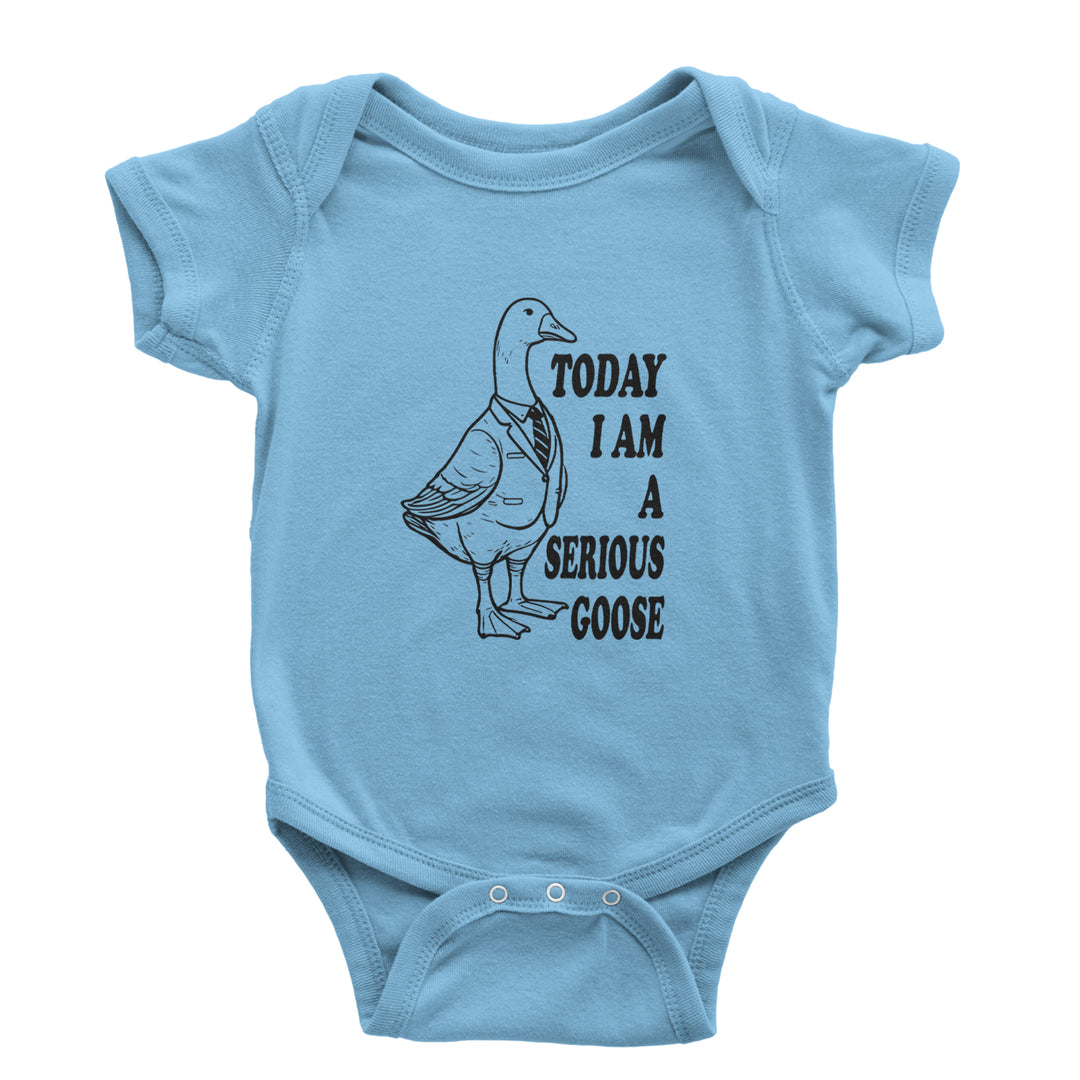 Today I Am A Serious Goose Infant One-Piece Romper Bodysuit or Toddler T-shirt Light Blue