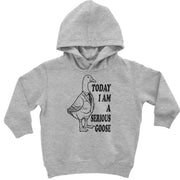 Toddler Hoodie + Infant Fleece