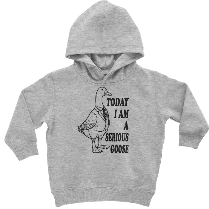 Today I Am A Serious Goose Toddler Hoodie Or Infant Fleece Romper