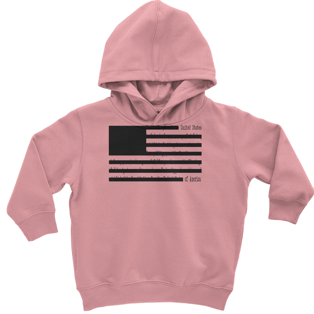 Redacted American Flag graphic on Toddler Hoodie and Baby Fleece Onesie in Mauve