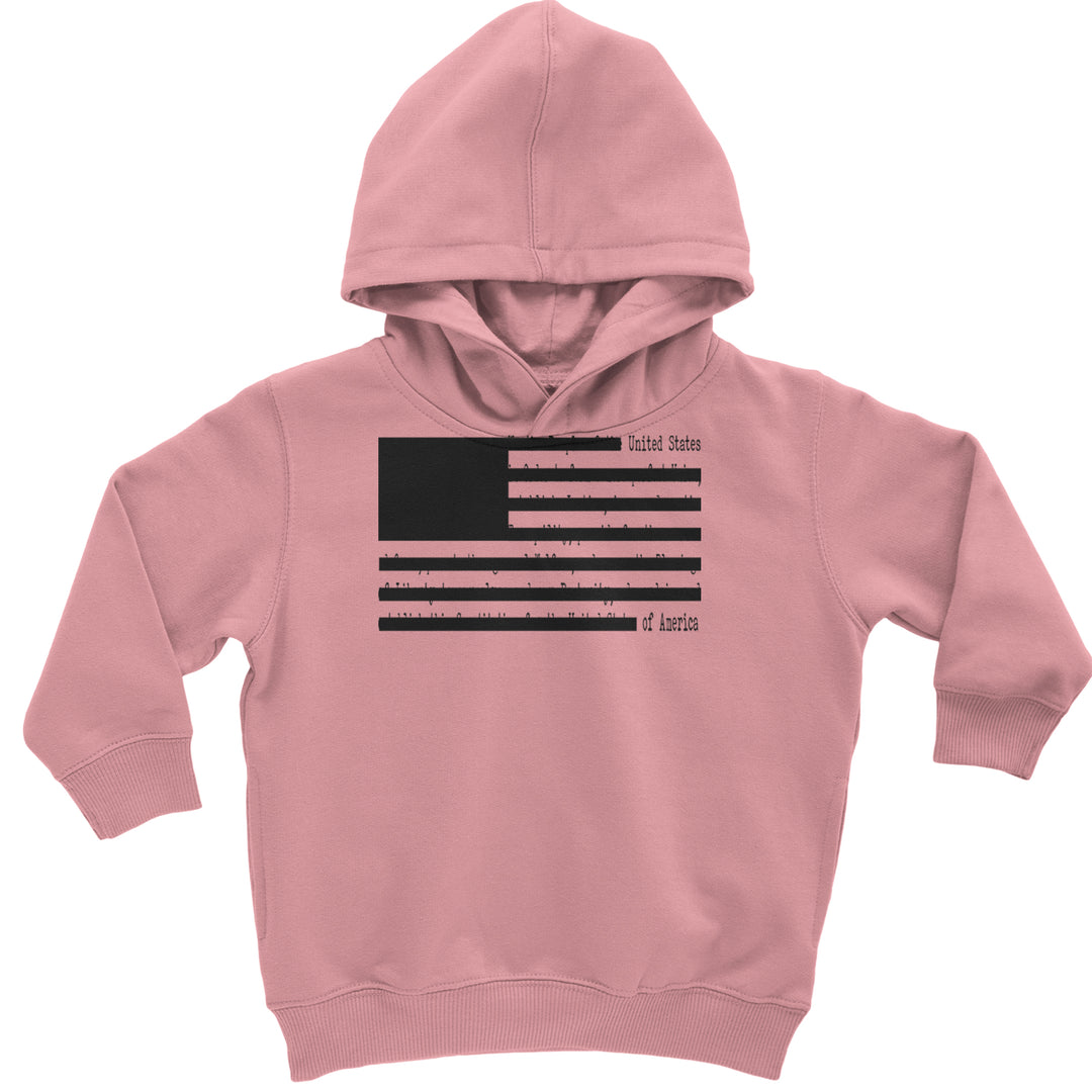 Redacted American Flag Toddler Hoodie Or Infant Fleece Romper Mauve