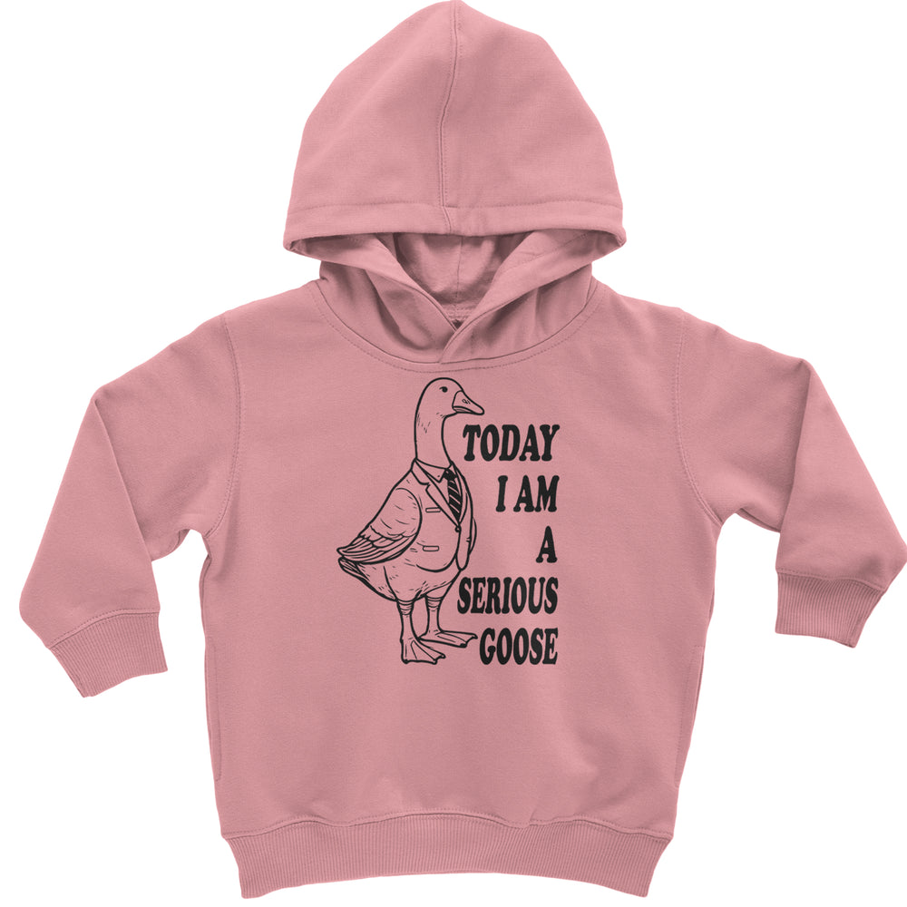Today I Am A Serious Goose graphic on Toddler Hoodie and Baby Fleece Onesie in Mauve
