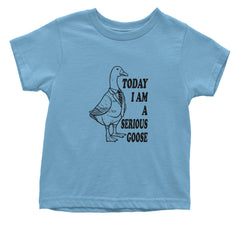 Today I Am A Serious Goose Infant One-Piece Romper Bodysuit or Toddler T-shirt Light Blue