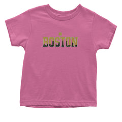 Boston City Pride Irish Infant One-Piece Romper Bodysuit Or Toddler T-shirt Raspberry