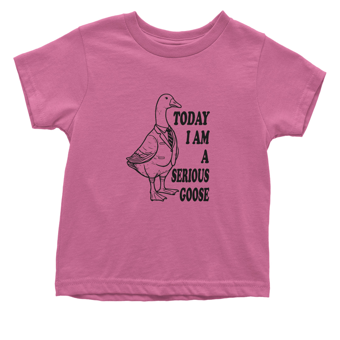 Today I Am A Serious Goose Infant One-Piece Romper Bodysuit or Toddler T-shirt Raspberry